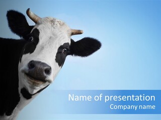 Farmland Goofy Strange PowerPoint Template