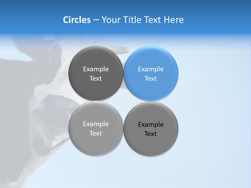 Farmland Goofy Strange PowerPoint Template
