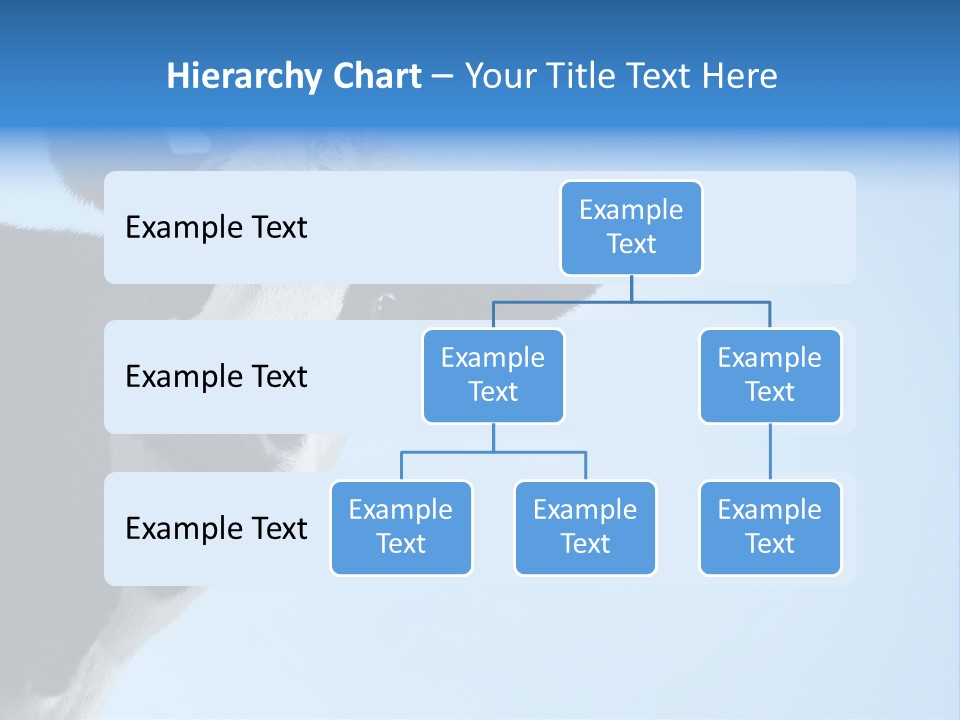 Farmland Goofy Strange PowerPoint Template