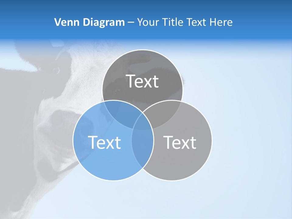 Farmland Goofy Strange PowerPoint Template
