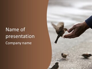 Bait Environmental Protection Feed PowerPoint Template