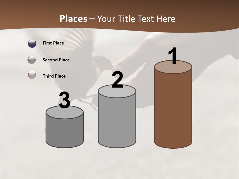 Bait Environmental Protection Feed PowerPoint Template