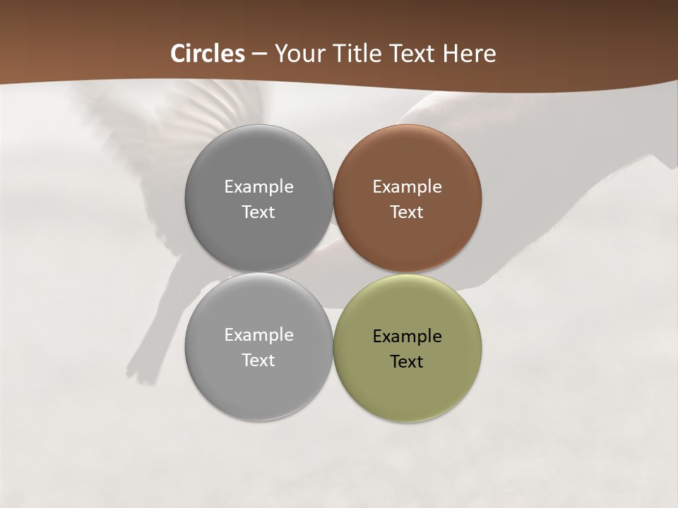 Bait Environmental Protection Feed PowerPoint Template