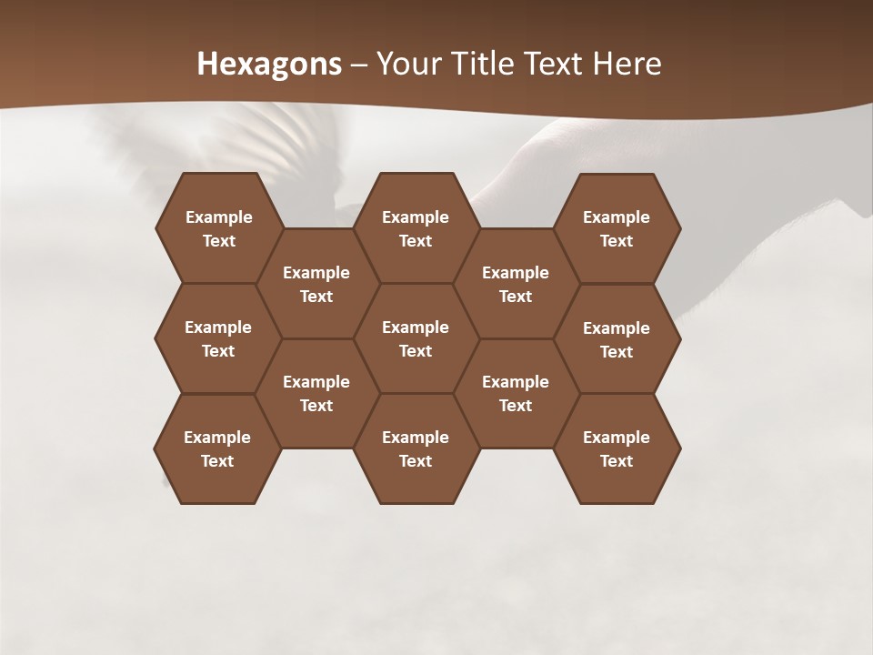 Bait Environmental Protection Feed PowerPoint Template