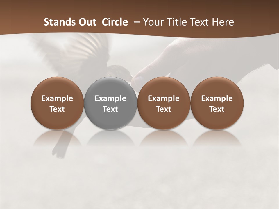 Bait Environmental Protection Feed PowerPoint Template