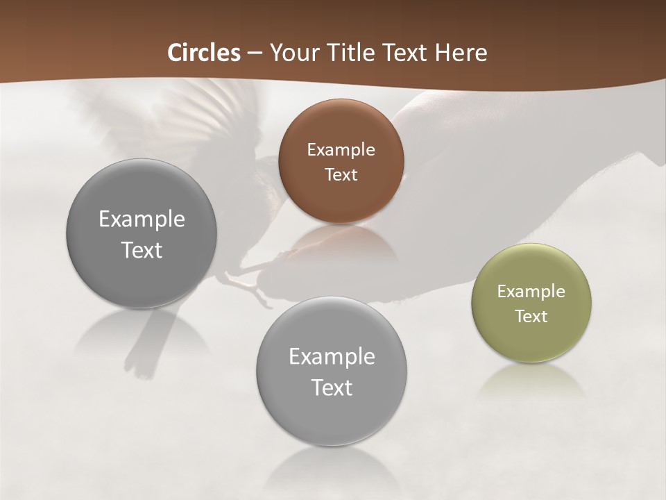 Bait Environmental Protection Feed PowerPoint Template