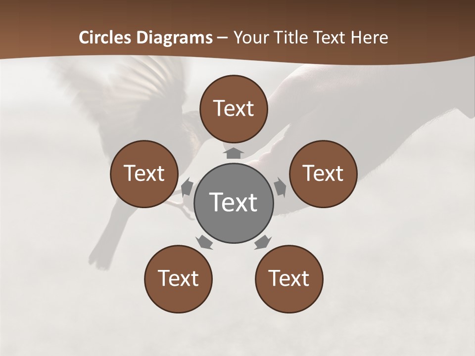 Bait Environmental Protection Feed PowerPoint Template