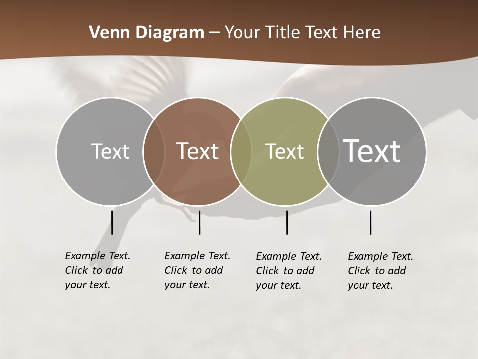 Bait Environmental Protection Feed PowerPoint Template