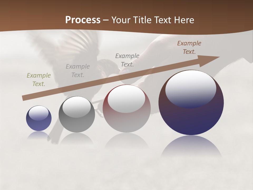 Bait Environmental Protection Feed PowerPoint Template