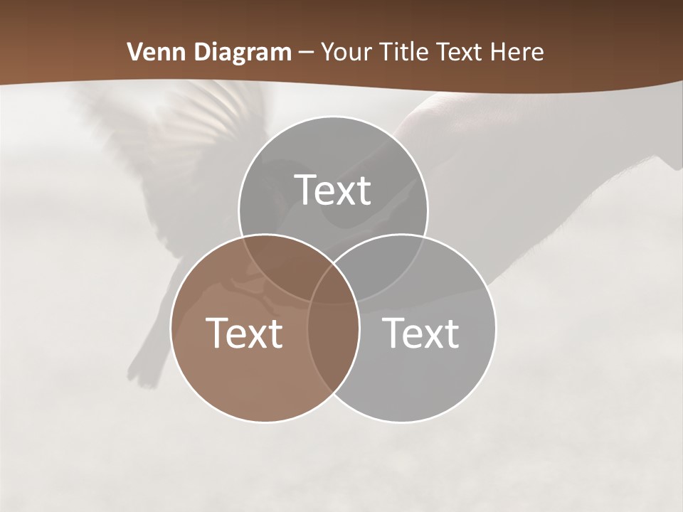 Bait Environmental Protection Feed PowerPoint Template