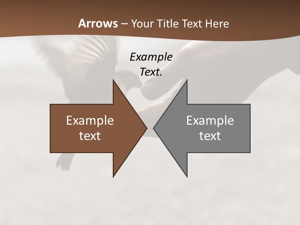 Bait Environmental Protection Feed PowerPoint Template