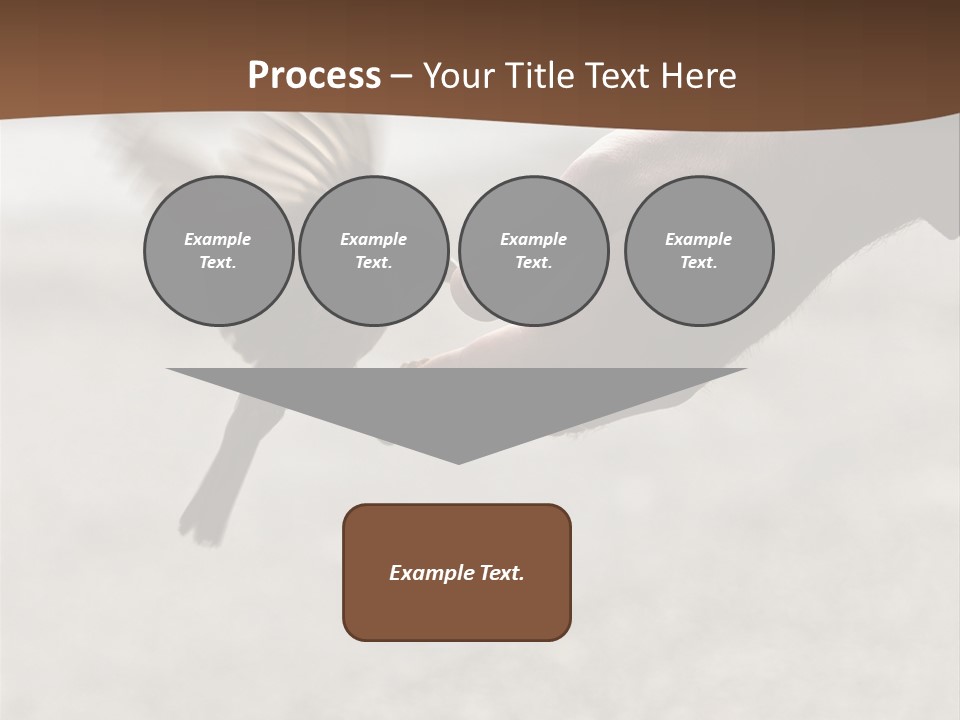 Bait Environmental Protection Feed PowerPoint Template