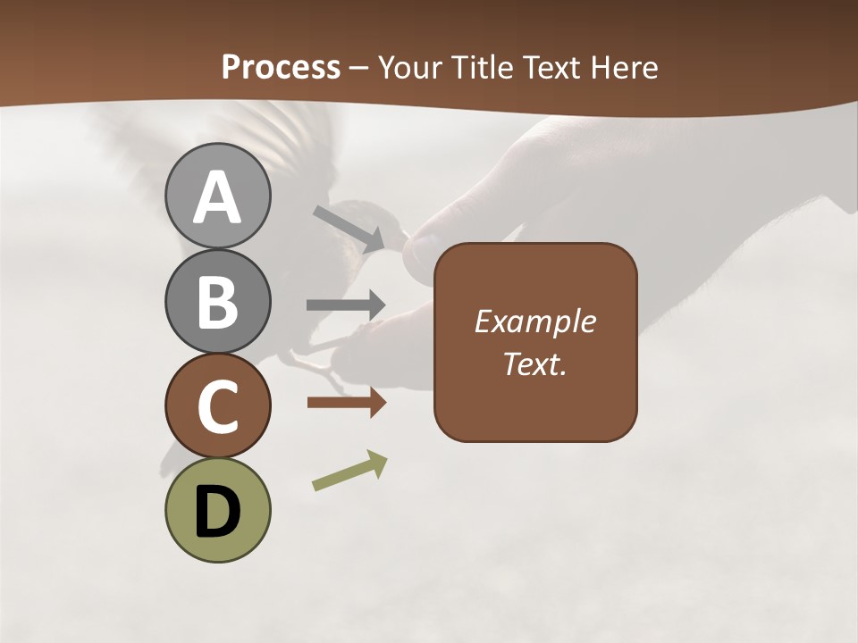 Bait Environmental Protection Feed PowerPoint Template