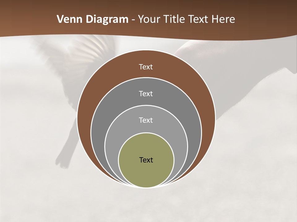 Bait Environmental Protection Feed PowerPoint Template