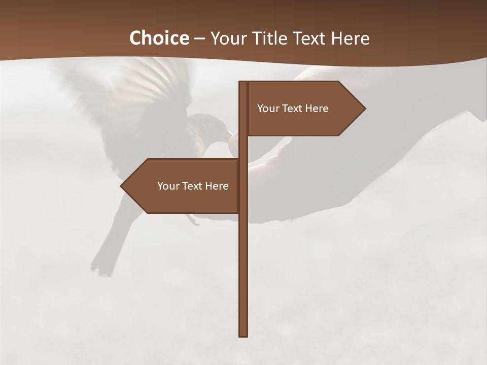 Bait Environmental Protection Feed PowerPoint Template