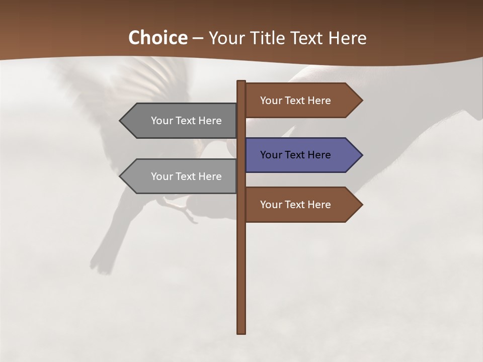 Bait Environmental Protection Feed PowerPoint Template