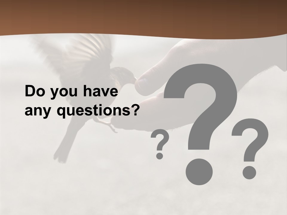 Bait Environmental Protection Feed PowerPoint Template