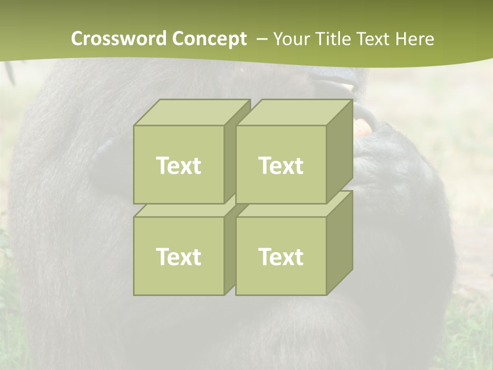 Back Cute Ape PowerPoint Template