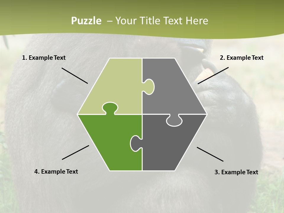 Back Cute Ape PowerPoint Template