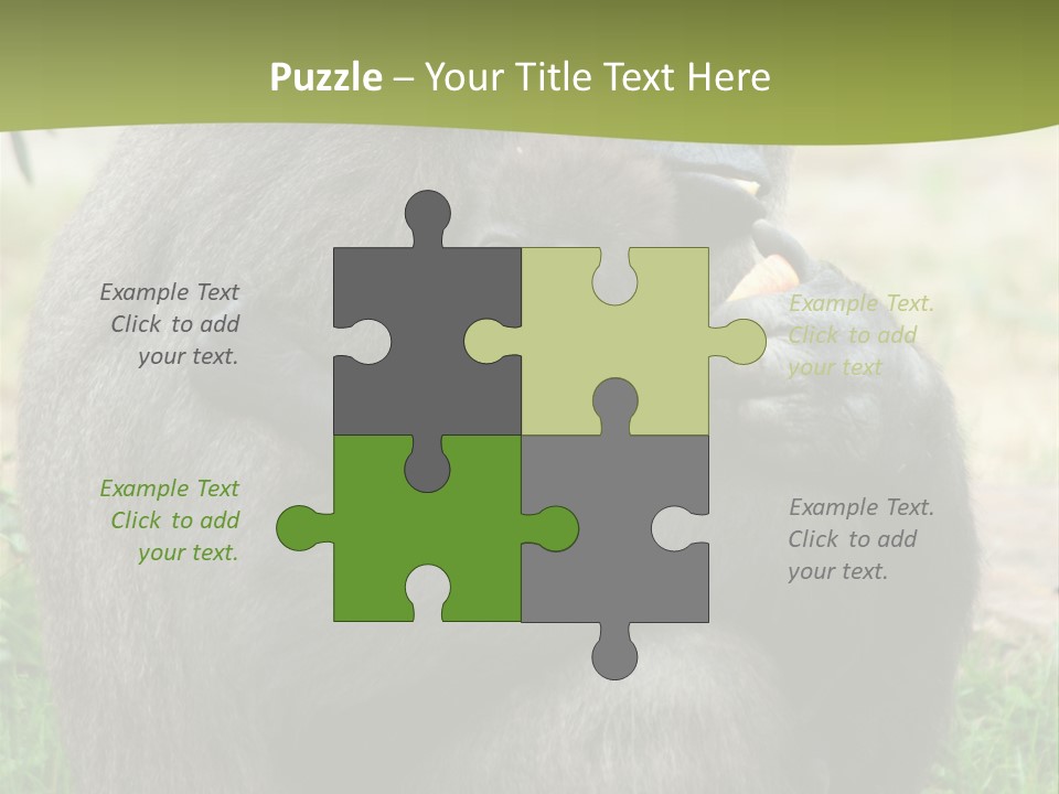 Back Cute Ape PowerPoint Template