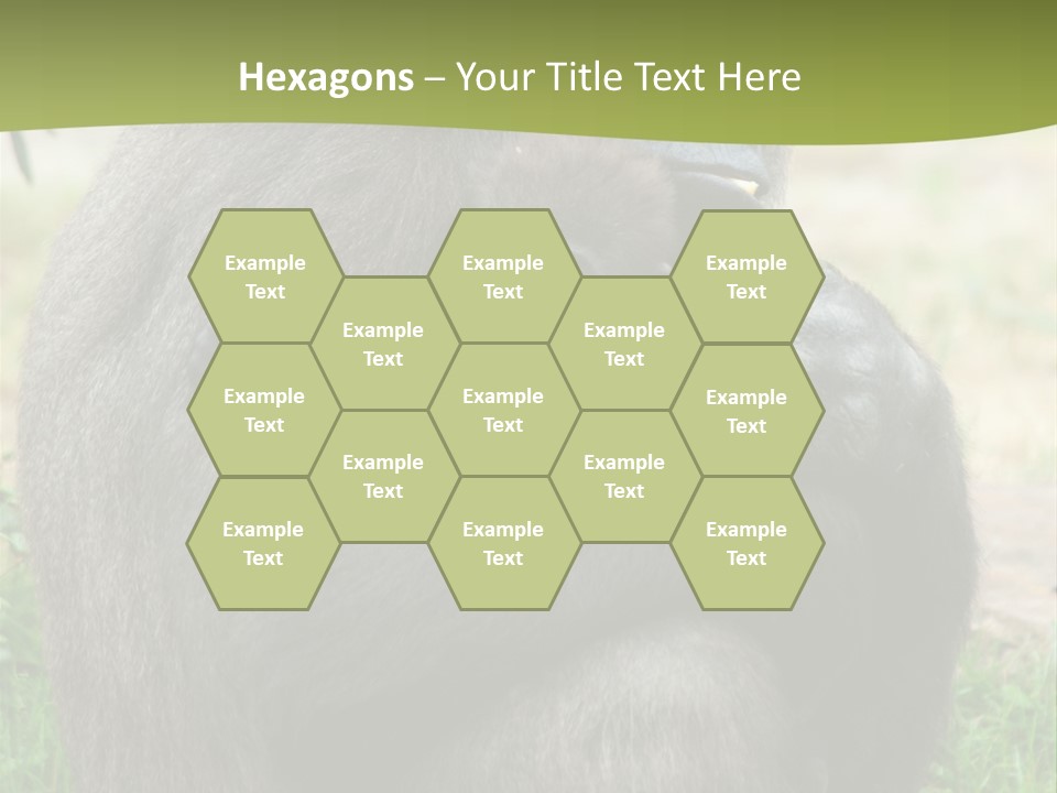 Back Cute Ape PowerPoint Template