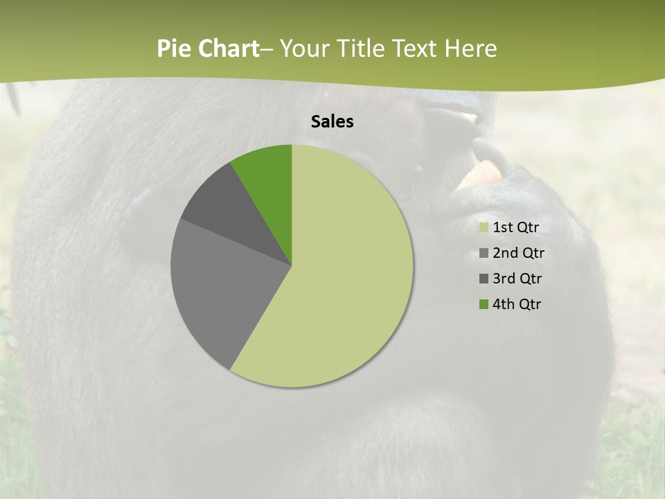 Back Cute Ape PowerPoint Template