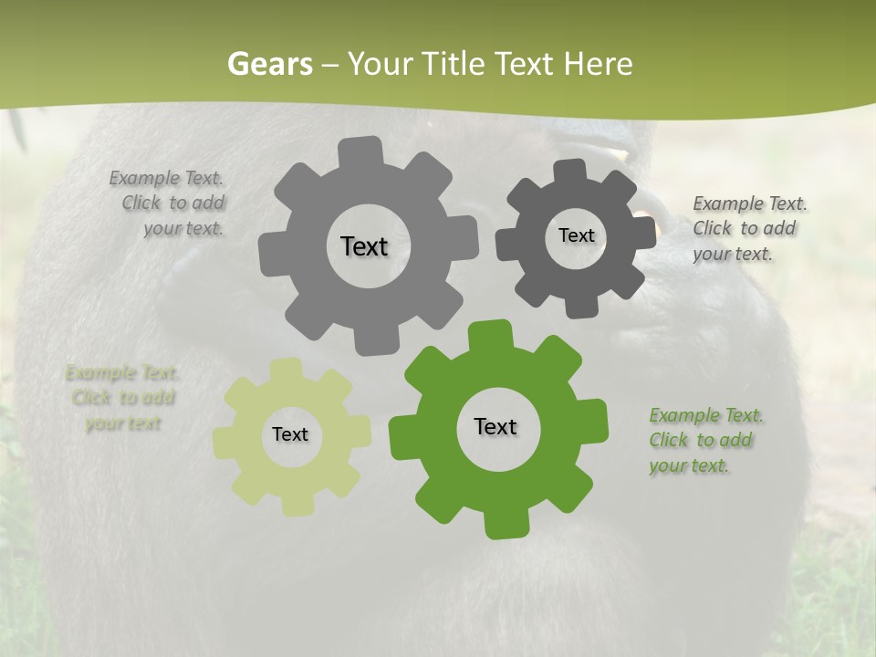 Back Cute Ape PowerPoint Template