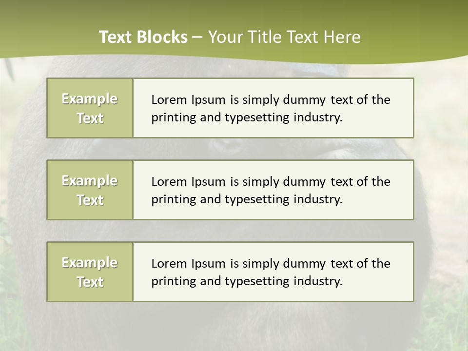 Back Cute Ape PowerPoint Template