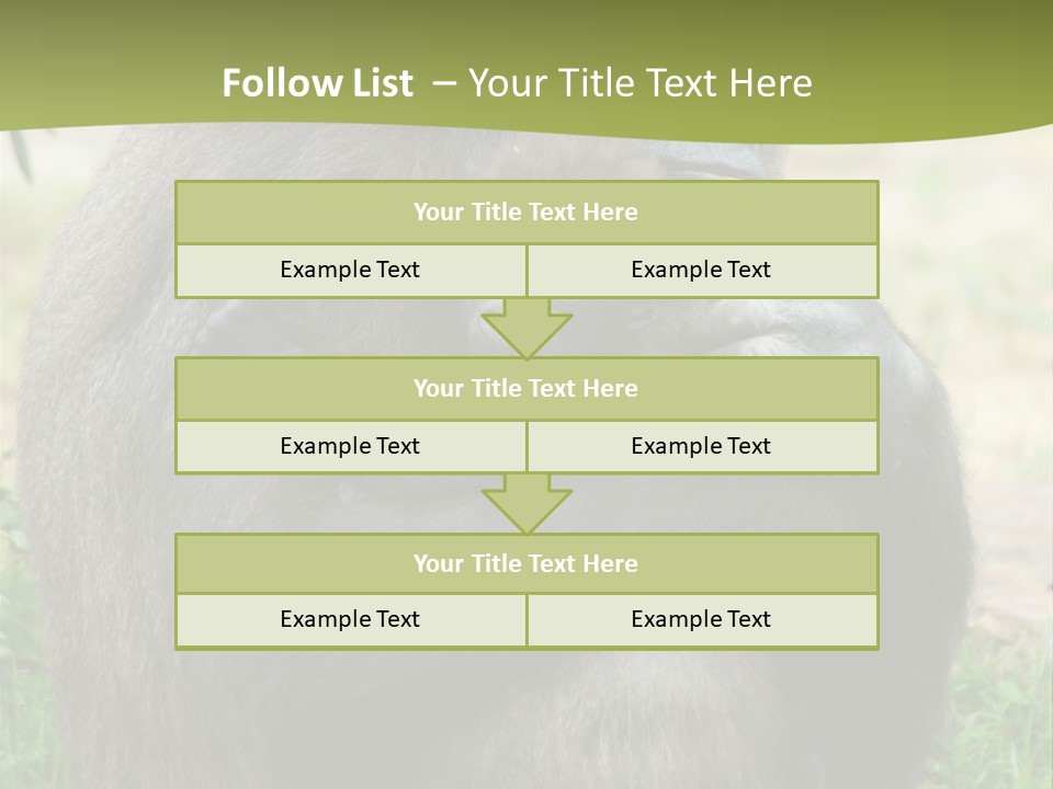Back Cute Ape PowerPoint Template