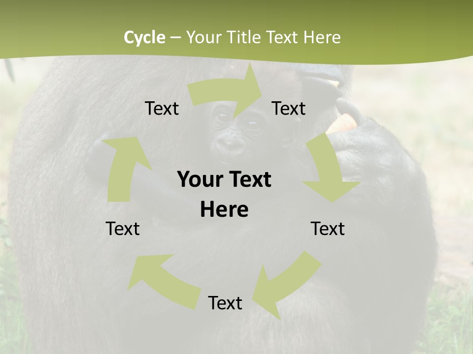 Back Cute Ape PowerPoint Template