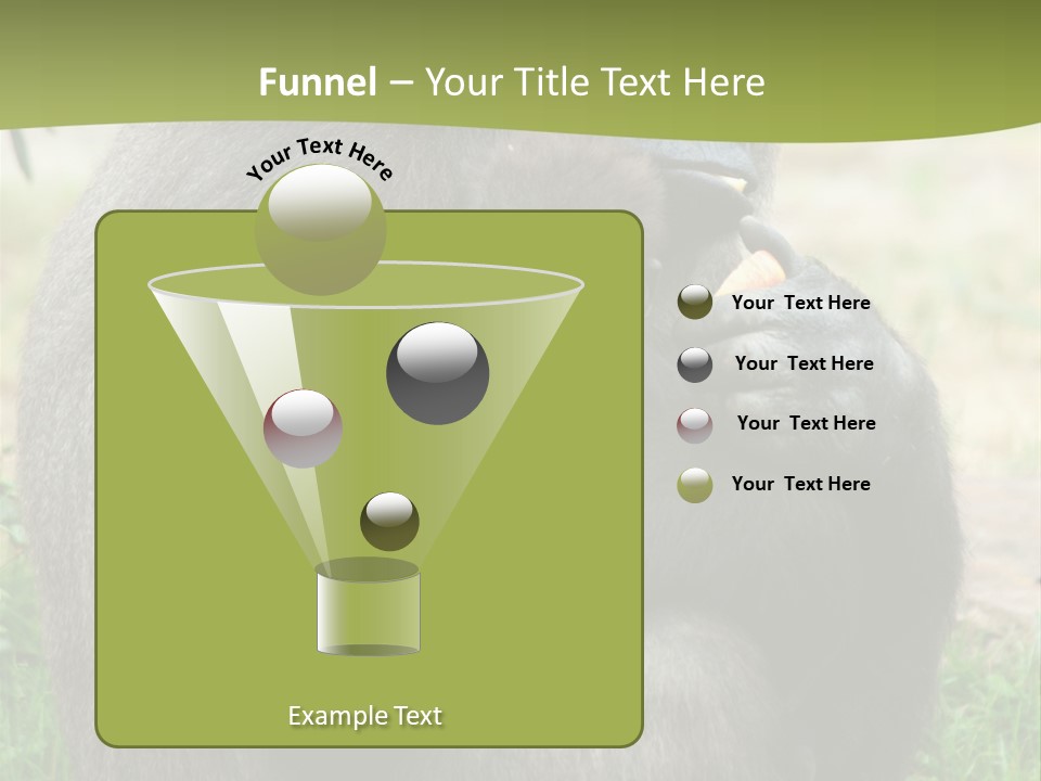 Back Cute Ape PowerPoint Template