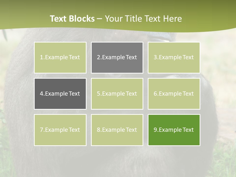 Back Cute Ape PowerPoint Template