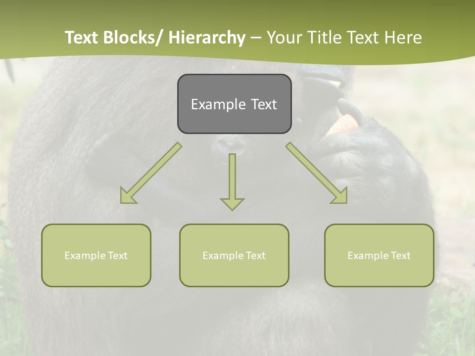 Back Cute Ape PowerPoint Template