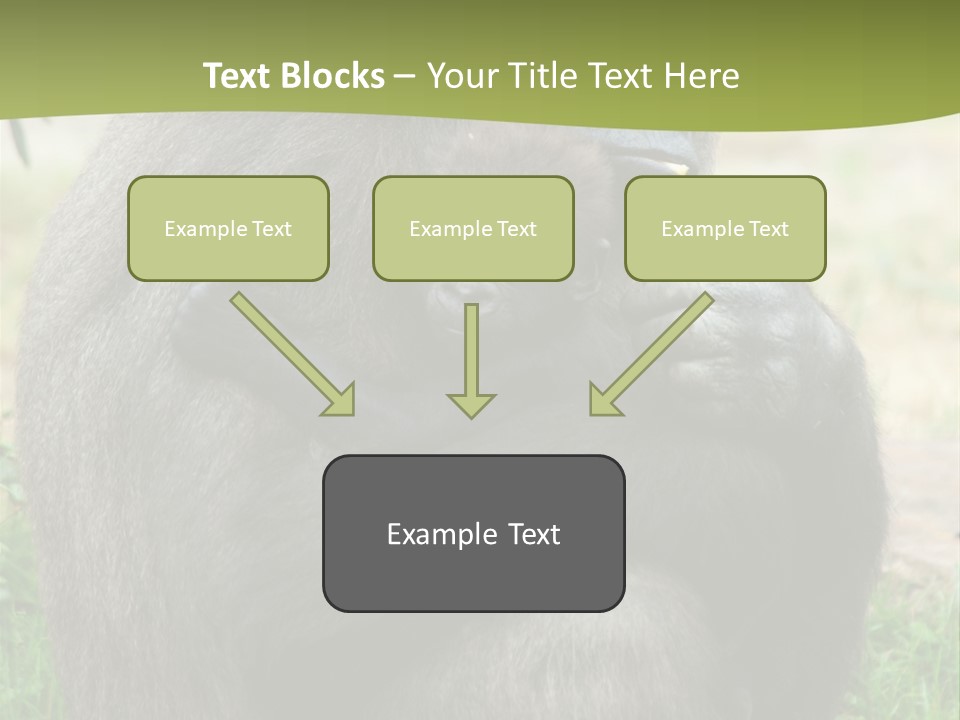 Back Cute Ape PowerPoint Template