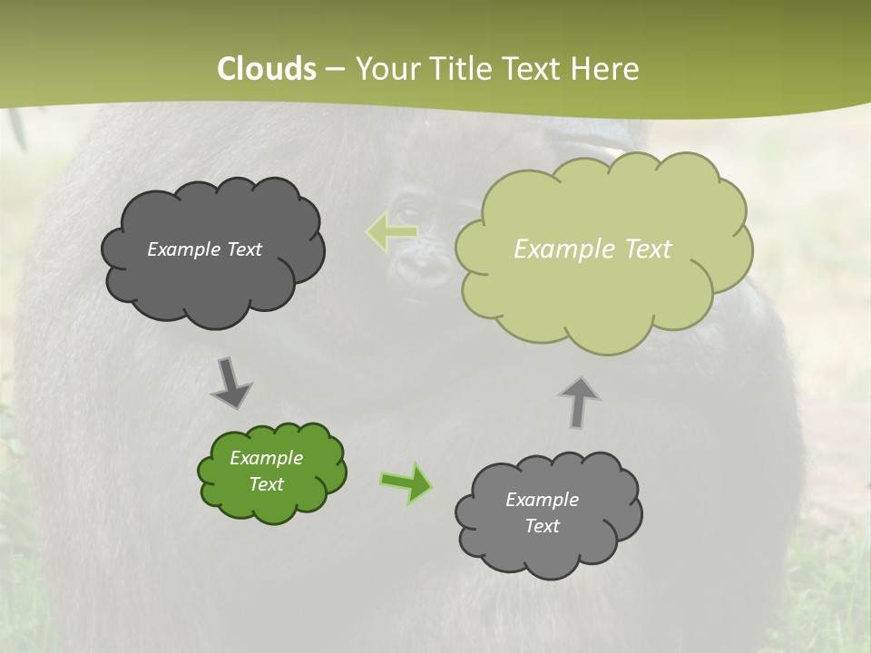 Back Cute Ape PowerPoint Template