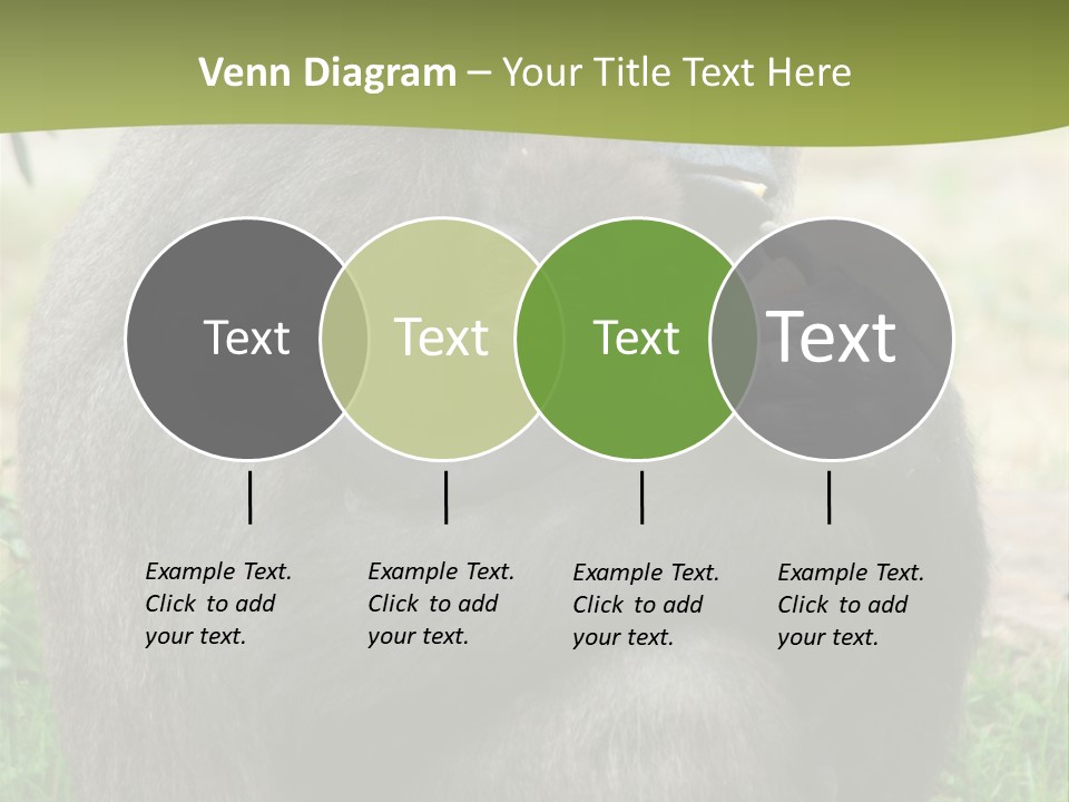 Back Cute Ape PowerPoint Template