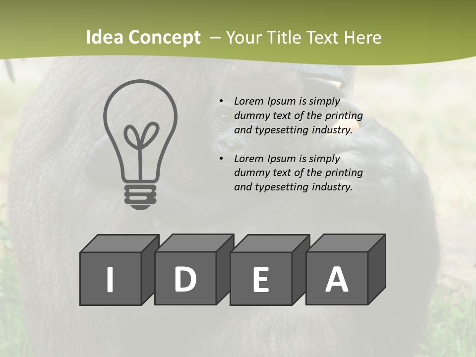 Back Cute Ape PowerPoint Template