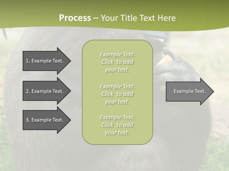 Back Cute Ape PowerPoint Template