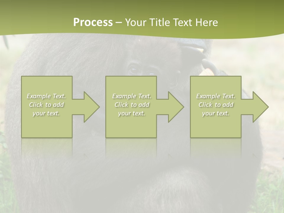 Back Cute Ape PowerPoint Template