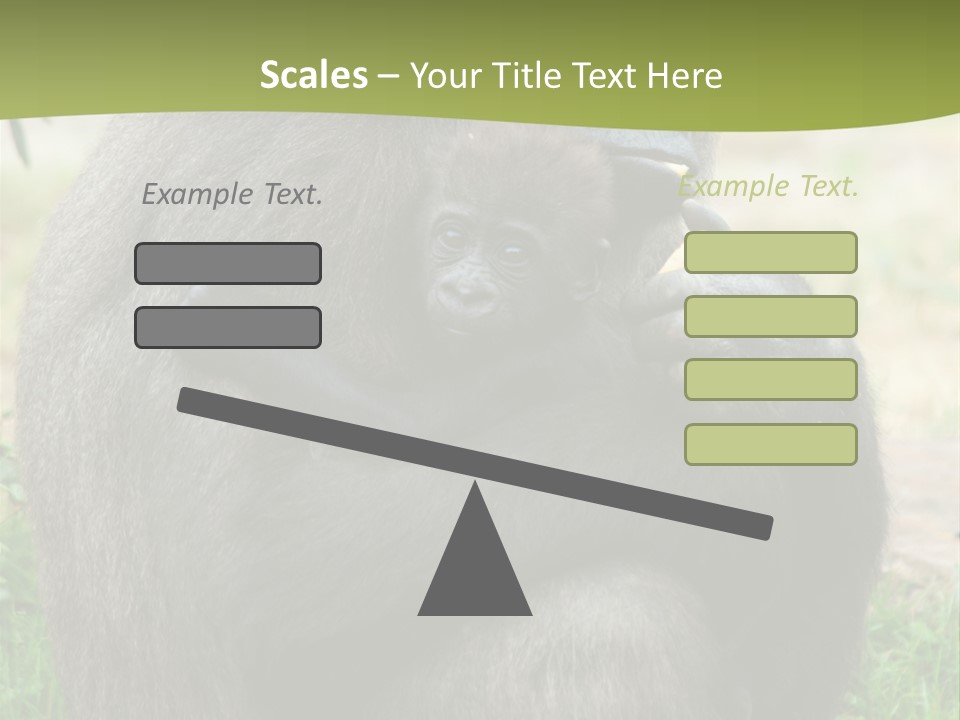 Back Cute Ape PowerPoint Template