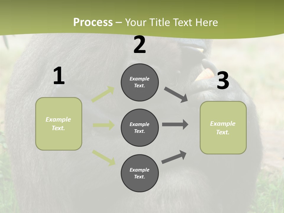 Back Cute Ape PowerPoint Template