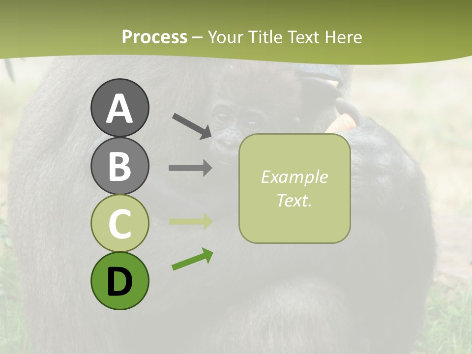 Back Cute Ape PowerPoint Template