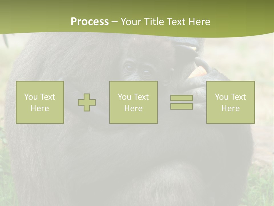 Back Cute Ape PowerPoint Template
