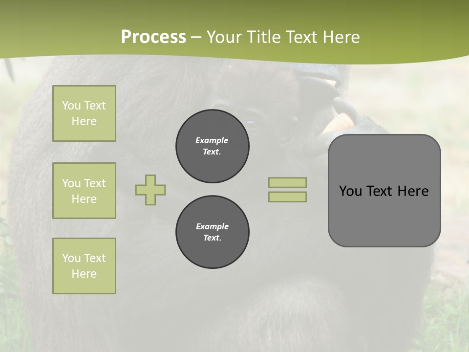 Back Cute Ape PowerPoint Template