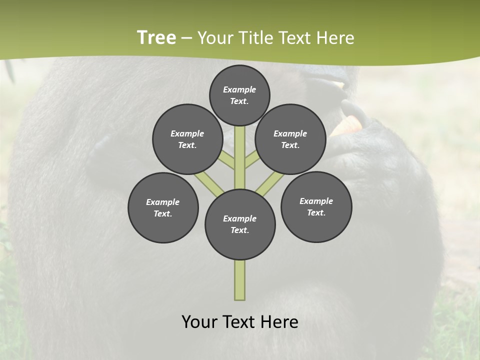 Back Cute Ape PowerPoint Template