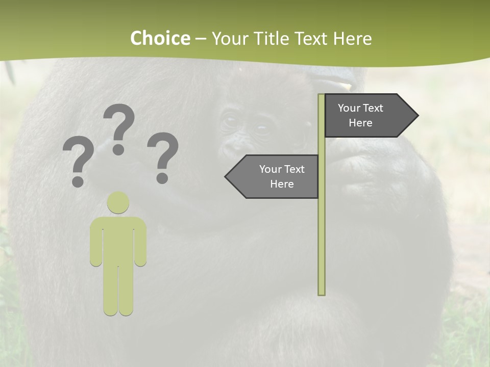 Back Cute Ape PowerPoint Template