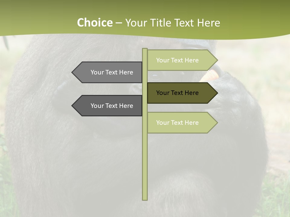 Back Cute Ape PowerPoint Template