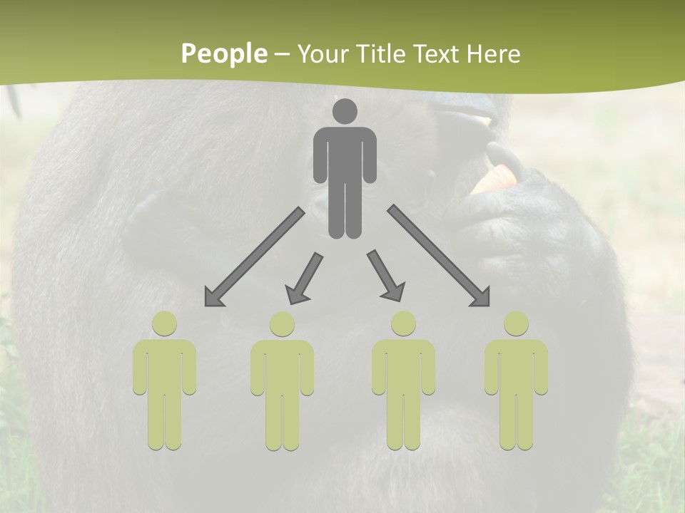 Back Cute Ape PowerPoint Template