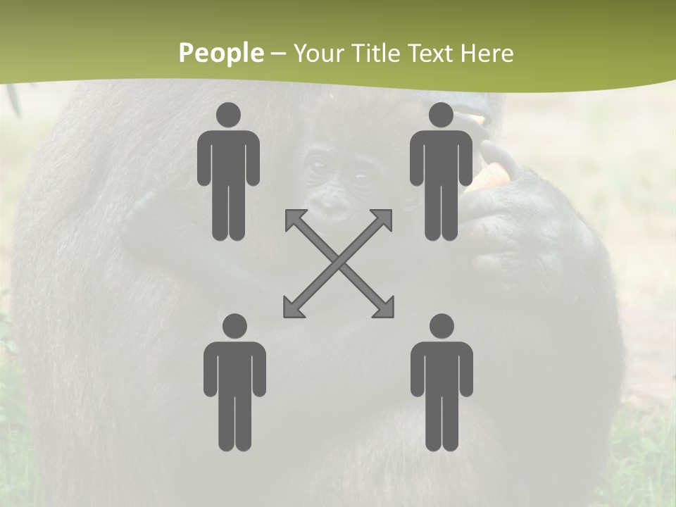 Back Cute Ape PowerPoint Template