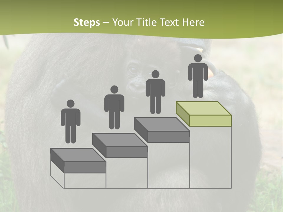 Back Cute Ape PowerPoint Template